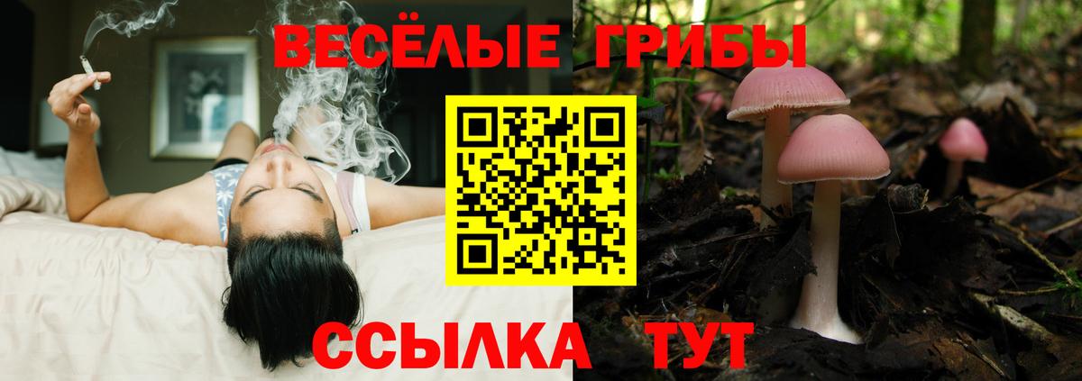 Псилоцибиновые грибы MAGIC MUSHROOMS Ростов Великий